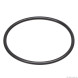 Уплотнительное кольцо для Eheim universal/Professionel 3e 450/600/700 (1250, 2076/78) (7221058)
