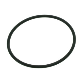 Ущільнююче кільце для Eheim PowerCleaner (3533) (7316018)