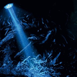 Розпилювач з LED освітленням Hobby Bubble Air Spot colour & moon (00677)