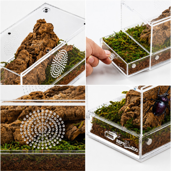 Тераріум акриловий Repti-Zoo Easy Clean Acrylic ACR47 20×10×10 см для комах, павуків