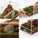 Тераріум акриловий Repti-Zoo Easy Clean Acrylic ACR47 20×10×10 см для комах, павуків