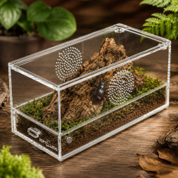 Тераріум акриловий Repti-Zoo Easy Clean Acrylic ACR47 20×10×10 см для комах, павуків