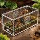 Тераріум акриловий Repti-Zoo Easy Clean Acrylic ACR47 20×10×10 см для комах, павуків