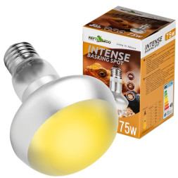 Лампа точечного нагрева Repti-Zoo Intense Basking Spot 75W (FCB75) с UVA для террариумов