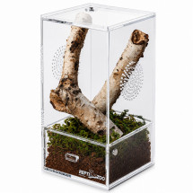 Террариум акриловый Repti-Zoo Easy Clean Acrylic ACR46 10×10×20 см для насекомых, пауков