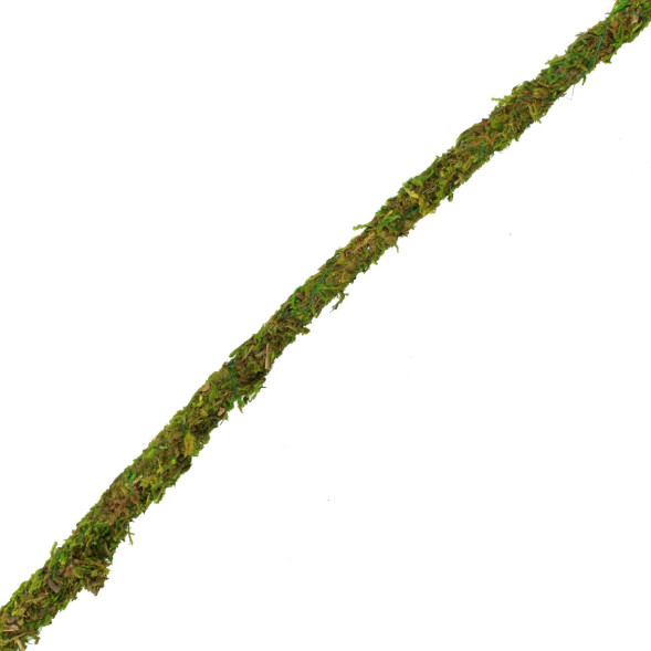 Ліана гнучка з натуральним мохом для тераріуму Repti-Zoo Artificial Moss Vine 1см x 2м (RV0210)