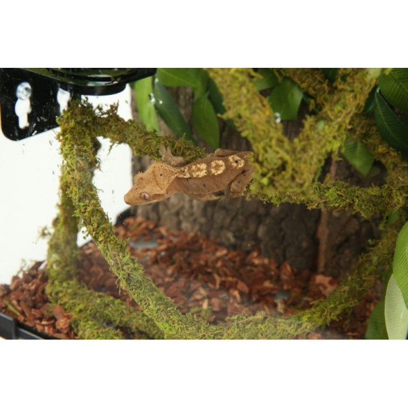 Ліана гнучка з натуральним мохом для тераріуму Repti-Zoo Artificial Moss Vine 1см x 2м (RV0210)