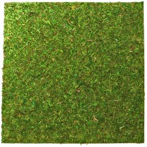 Фон из натурального мха Repti-Zoo Natural Moss Back & Bottom 20×20см 2 шт (NCM2020) для террариума