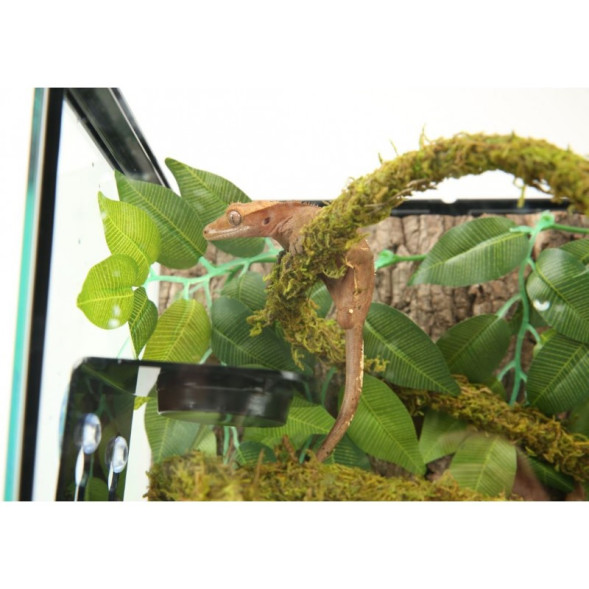Ліана гнучка з натуральним мохом для тераріуму Repti-Zoo Artificial Moss Vine 1,5см x 2м (RV0215)
