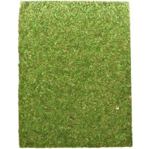Фон из натурального мха Repti-Zoo Natural Moss Back & Bottom 20x30см 2 шт (NCM3020) для террариума