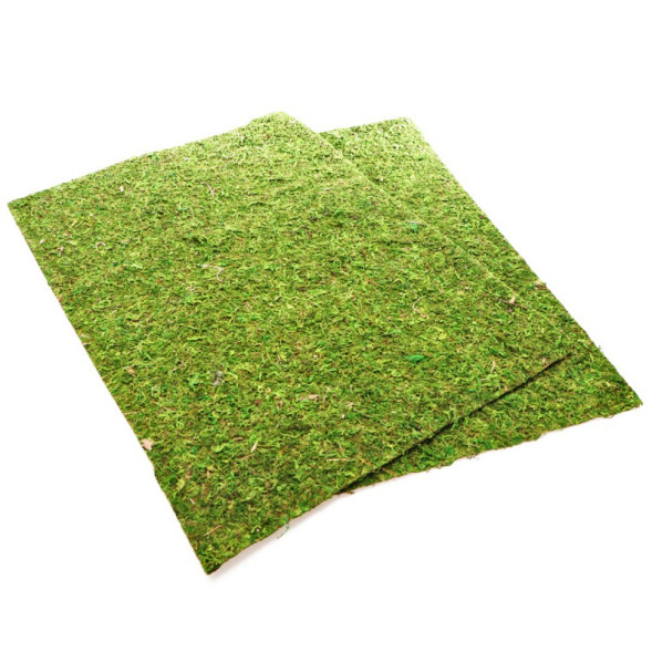 Фон з натурального моху Repti-Zoo Natural Moss Back &amp;amp; Bottom 20x30см 2 шт (NCM3020) для тераріуму