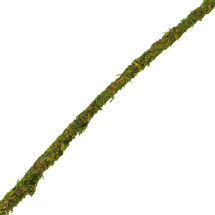 Лиана гибкая с натуральным мхом для террариума Repti-Zoo Artificial Moss Vine 2см x 2м (RV0220)